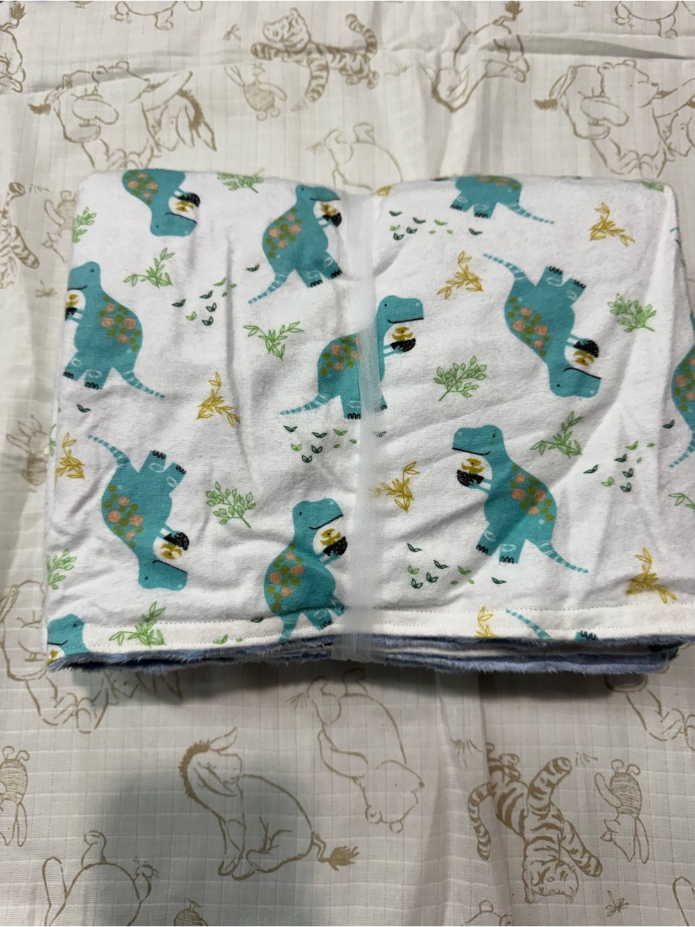 Turquoise Dinosaur Baby Blanket set- Cute Dino Print